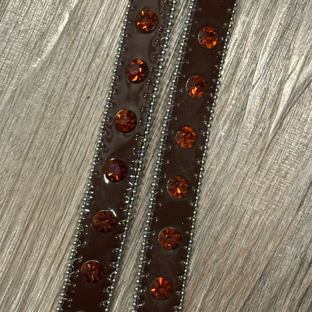Brown Rhinestone Dog Leash - Picture 11 of 12